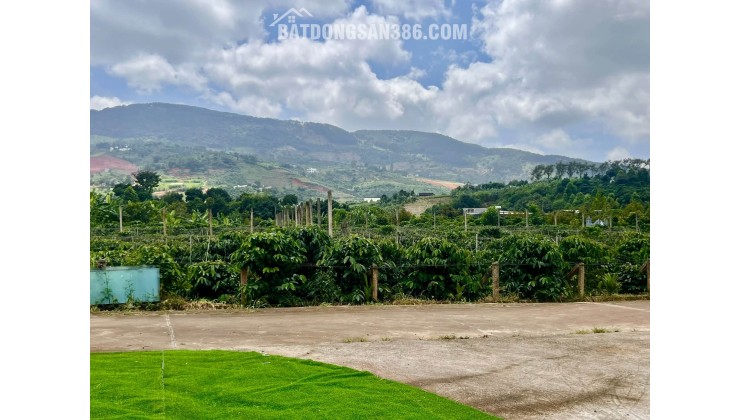 Cần Bán Nhà Nam Ban 490m², 150m² Đất Ở, Nhà Kiên Cố Có 3 Phòng Ngủ